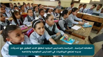 انطلاقة الدراسة.. الدراسة بالمدارس الدولية تنطلق الأحد المقبل مع تحديثات جديدة لمنهج الرياضيات في المدارس الحكومية والخاصة